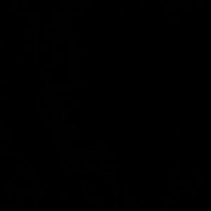 Meet your Posher, Leo